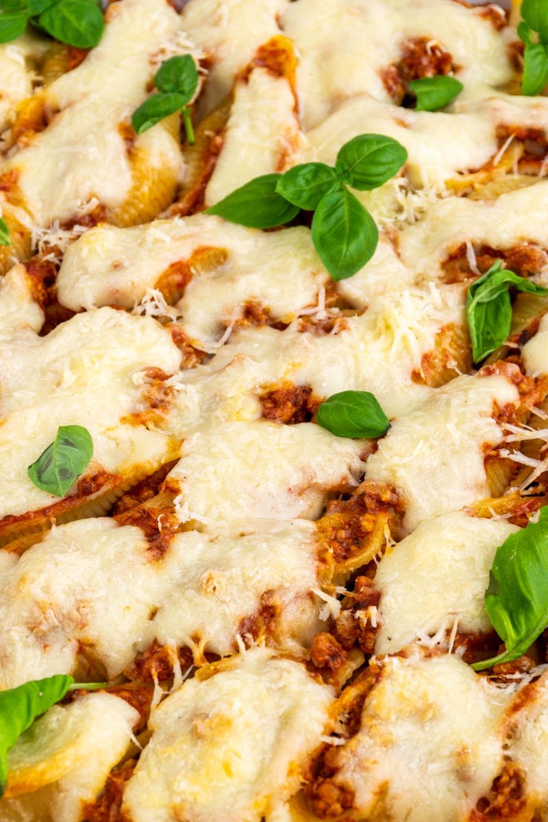 stuffed pasta shells close view